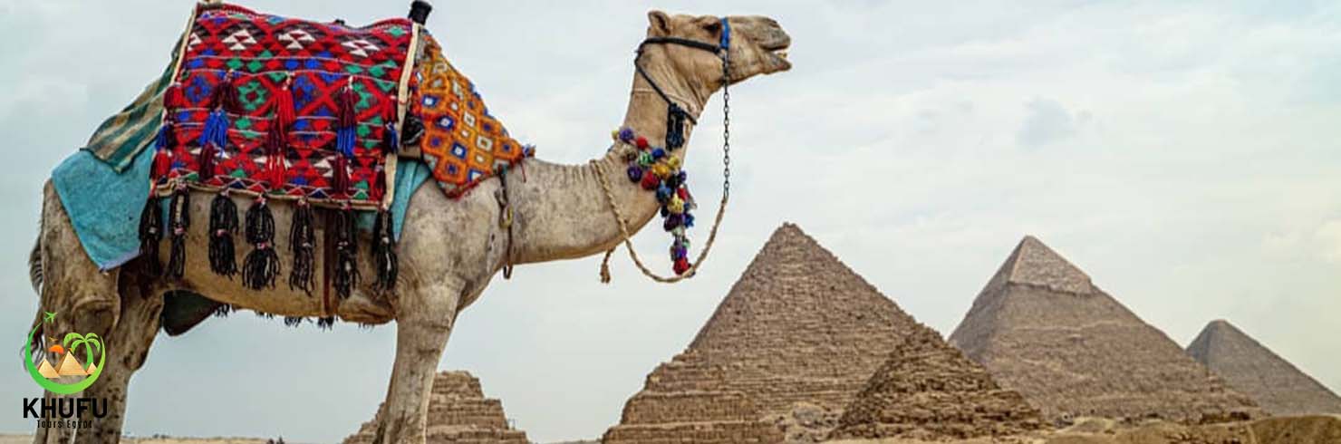 Khufu Tours Egypt